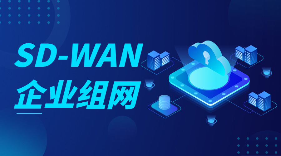 企業(yè)組網(wǎng)需要的條件