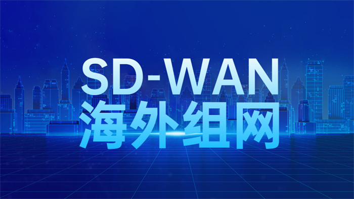 SD-WAN海外組網(wǎng)方案