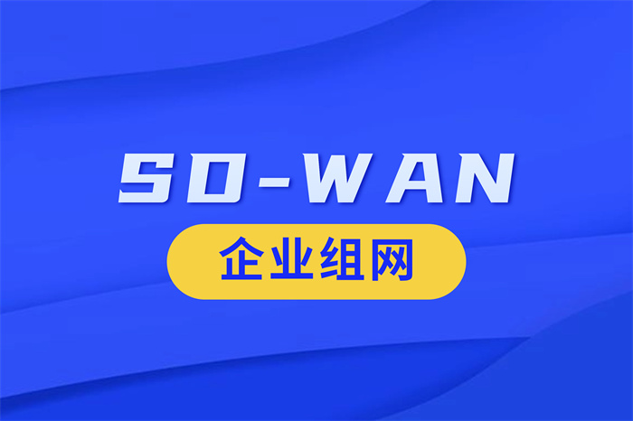 SDWAN組網(wǎng)成本