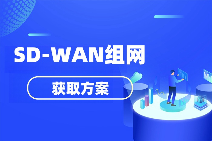 SD-WAN有幾種組網(wǎng)方案