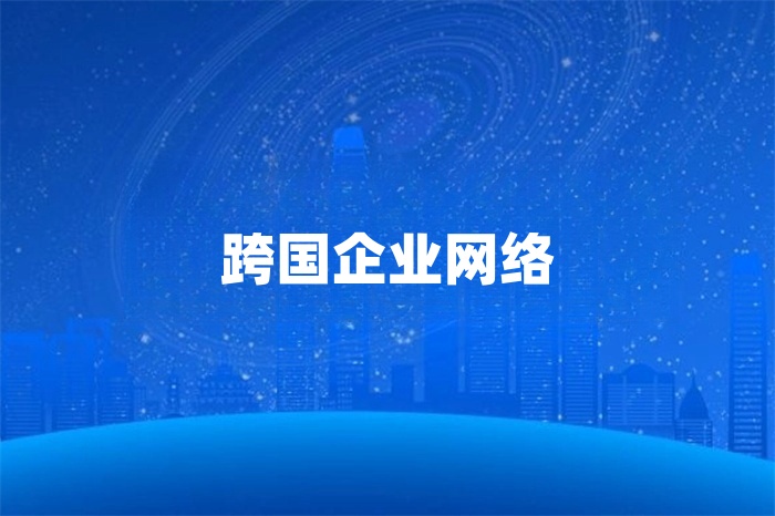 跨國(guó)企業(yè)網(wǎng)絡(luò)怎么解決？