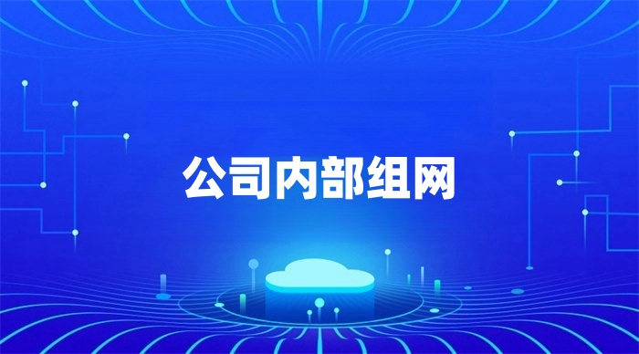 公司內(nèi)部組網(wǎng)解決方案