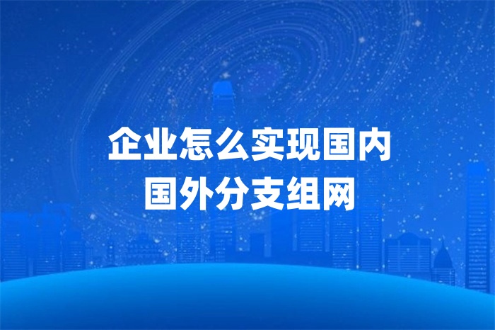 企業(yè)怎么實(shí)現(xiàn)國(guó)內(nèi)國(guó)外分支組網(wǎng)