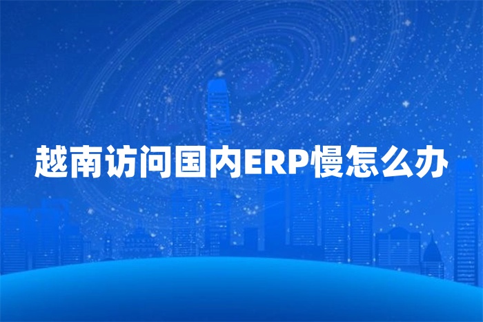 越南訪問國內ERP慢怎么辦