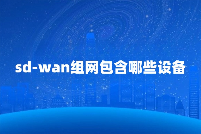 sd-wan組網(wǎng)包含哪些設(shè)備