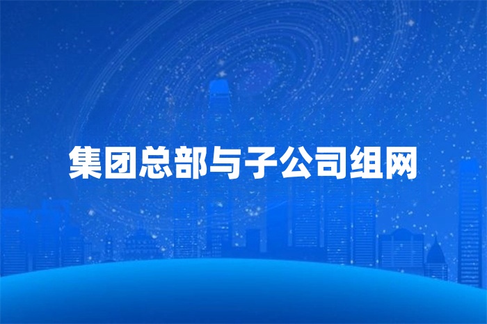 集團(tuán)總部與子公司組網(wǎng)