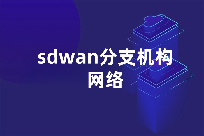sdwan分支機(jī)構(gòu)網(wǎng)絡(luò)