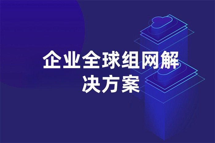 企業(yè)全球組網(wǎng)解決方案