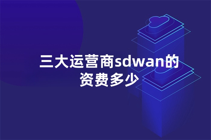 三大運(yùn)營(yíng)商sdwan的資費(fèi)多少