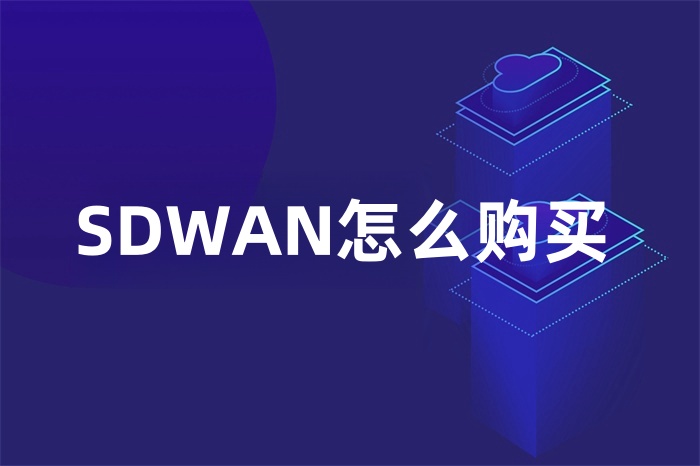 SDWAN購(gòu)買