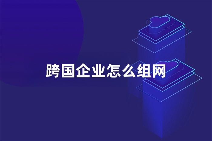 跨國企業(yè)怎么組網(wǎng)
