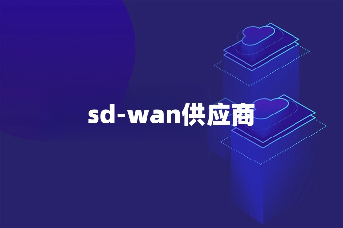 sd-wan供應(yīng)商