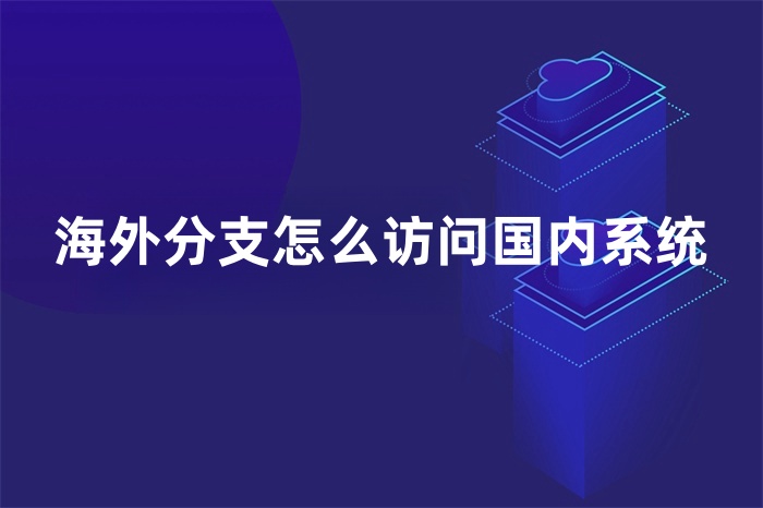 海外分支怎么訪問國內(nèi)系統(tǒng)