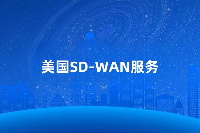 美國(guó)SD-WAN服務(wù)