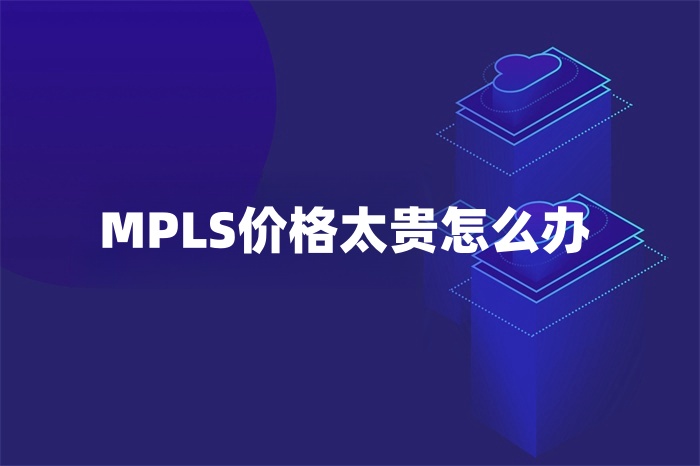 MPLS價(jià)格太貴怎么辦